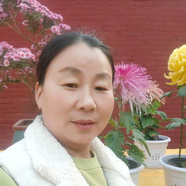 花开富贵吴