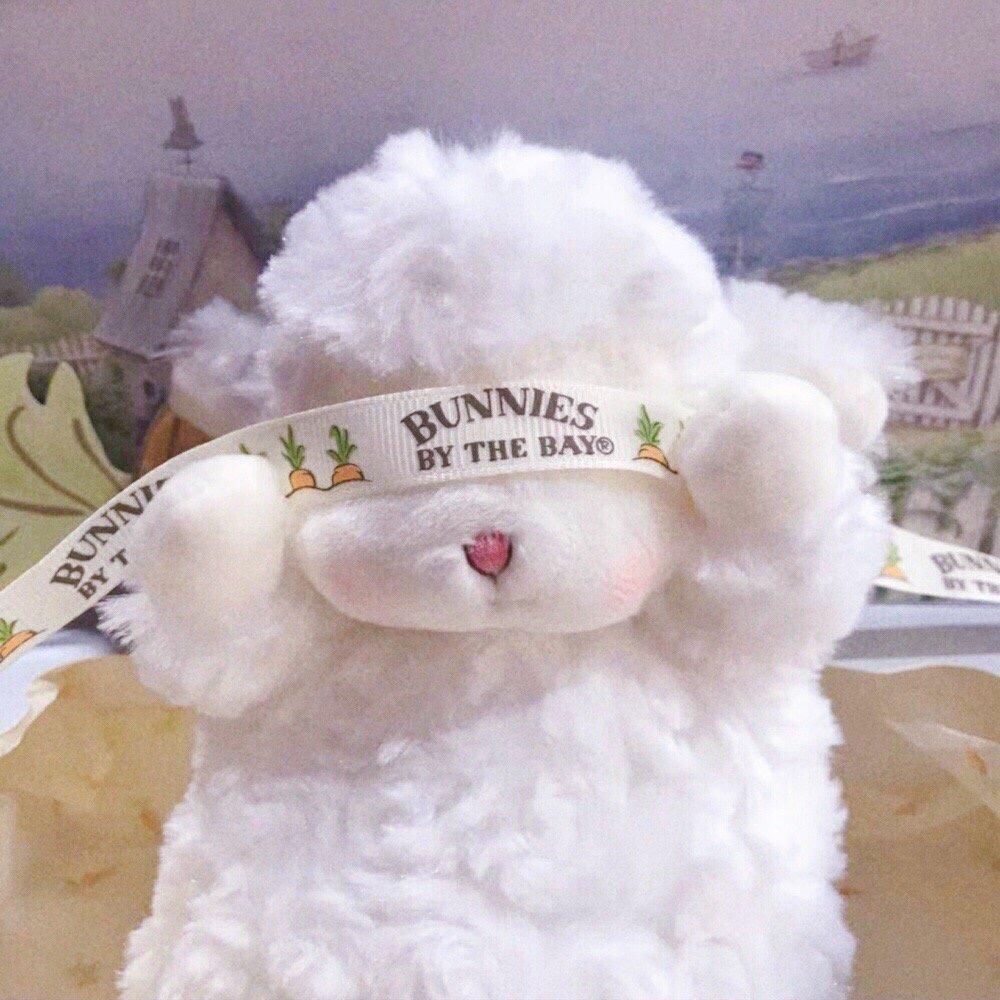 小椰羊🐑