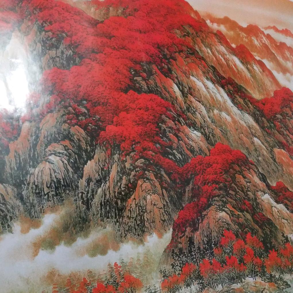 用户8671833906381芳