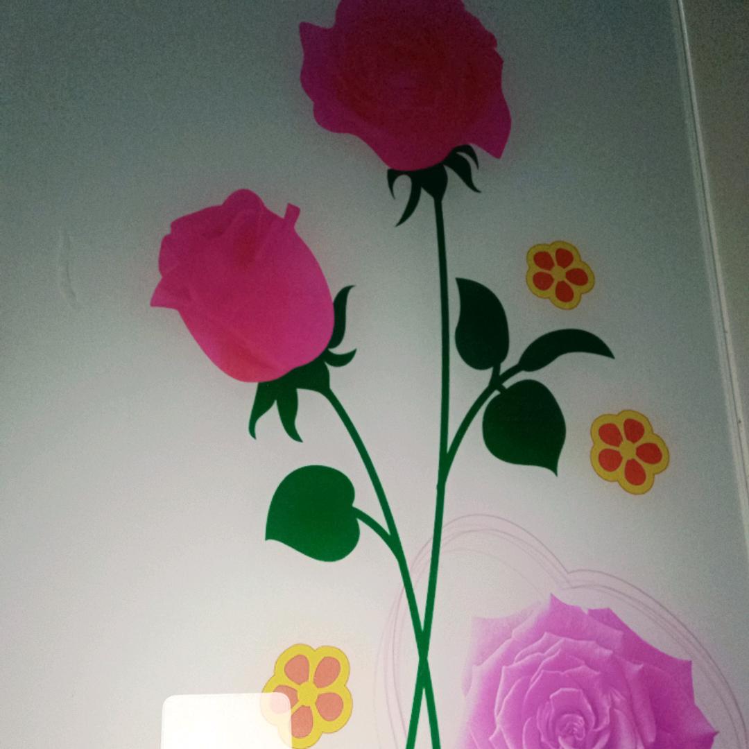 小芳🌹