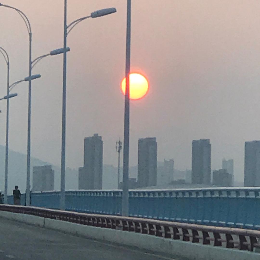 黄跳跳