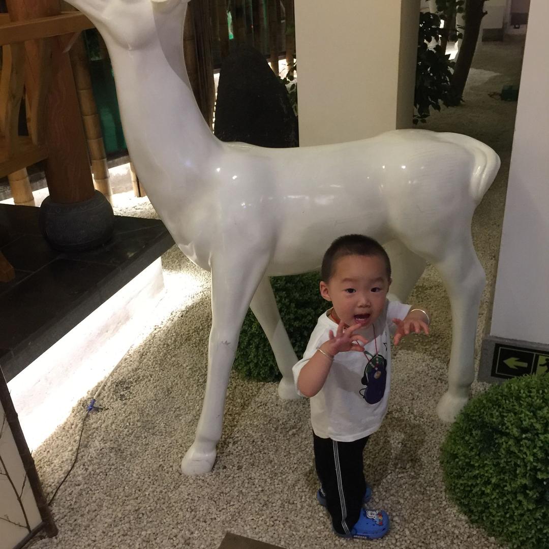 小雨点呦