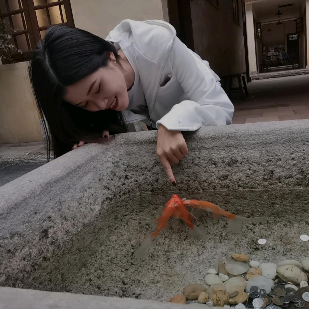 千秋岁
