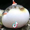 么么茶