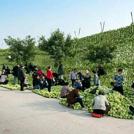 海陆空浪漫少女