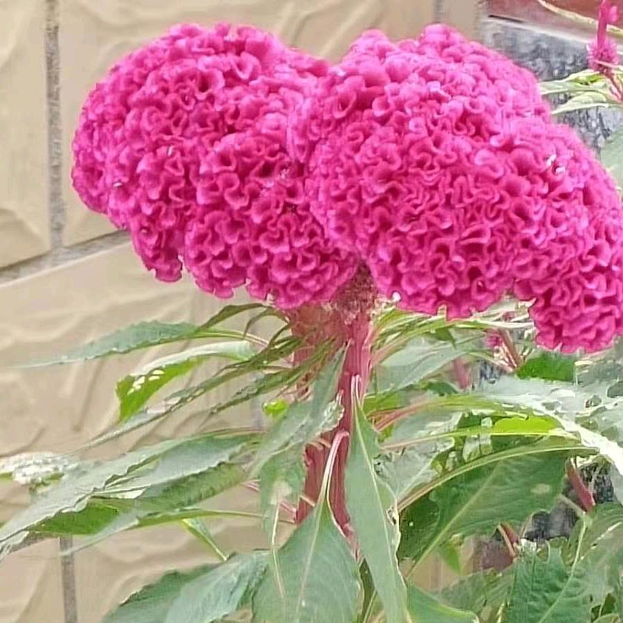 繁星点点
