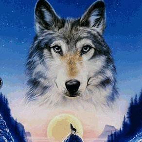 🐺狼图腾