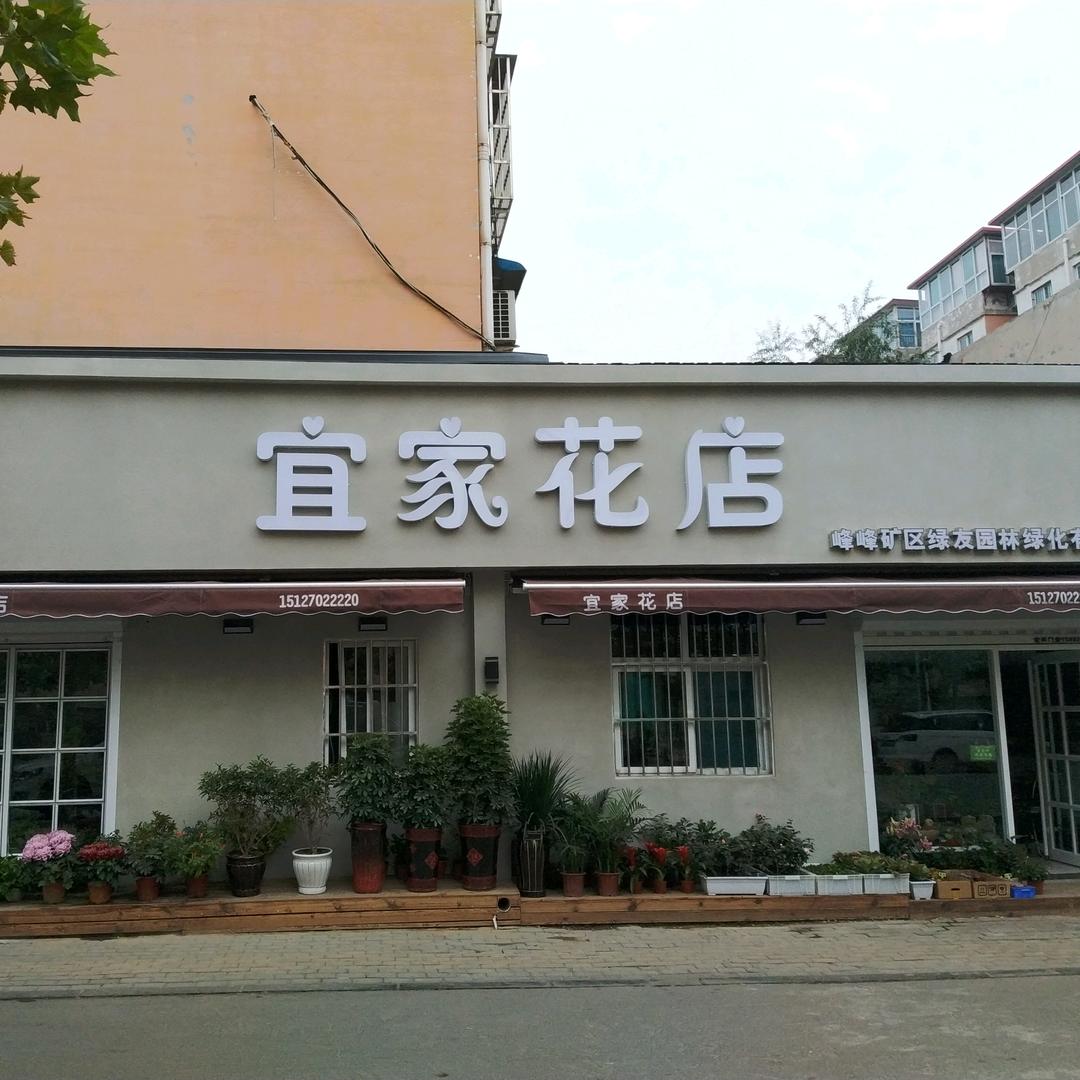 宜家花店(保卫路店)峰峰