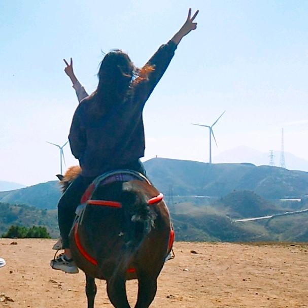 ღ᭄简ꫛ🌻单༊