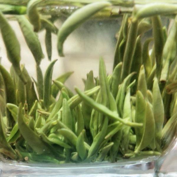 驻马店市驿城区余氏茶行