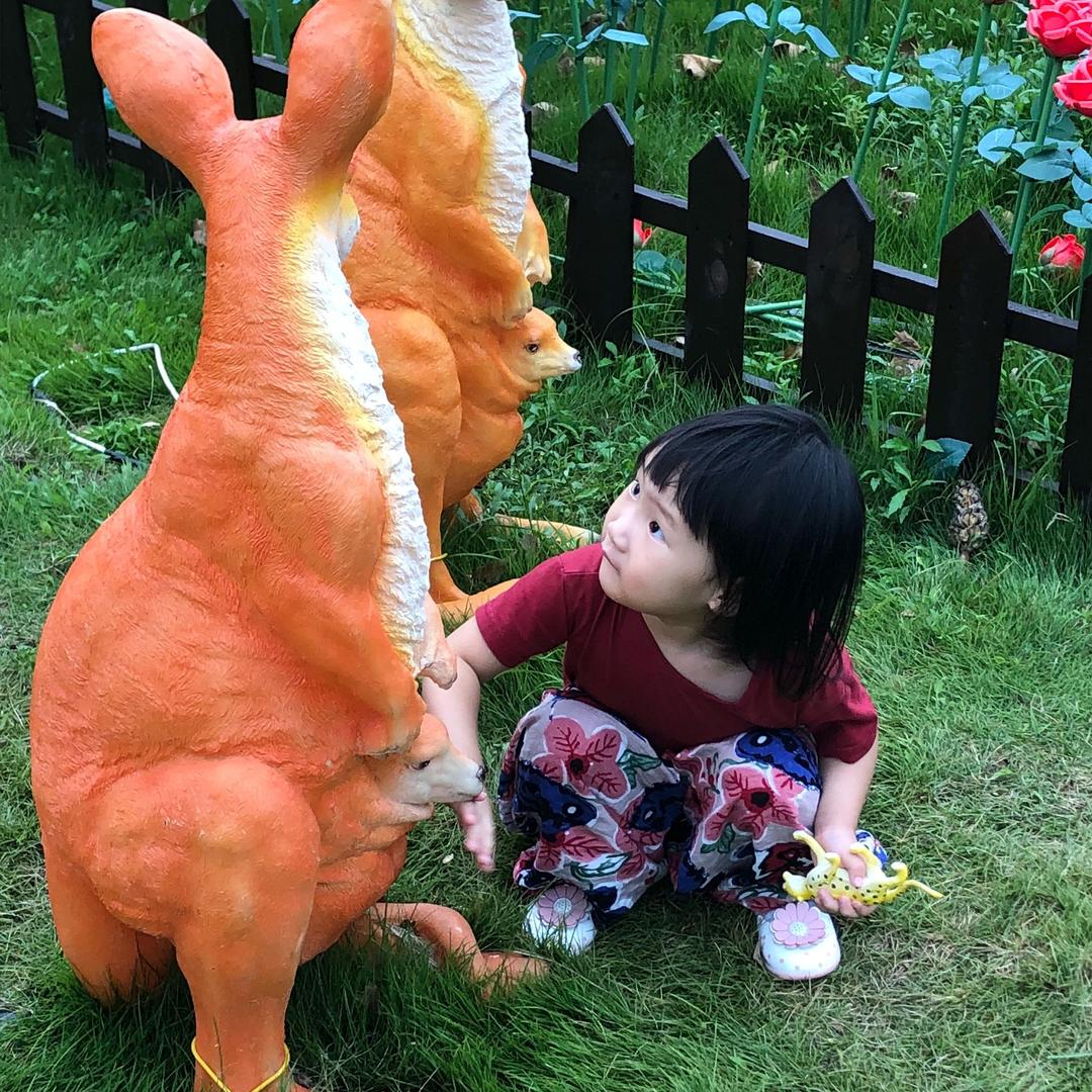 🌺剑🌺