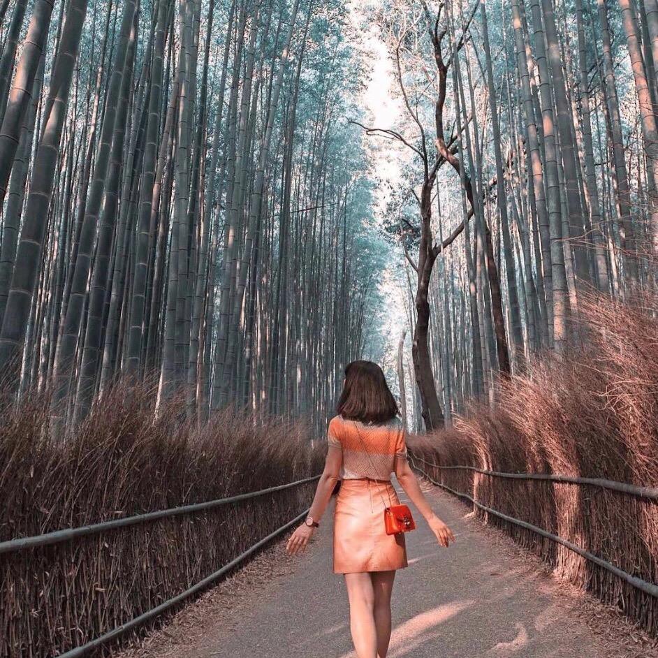 夏•未央（鱼塘塘主）～甸丰休闲渔乐