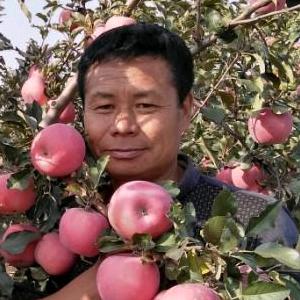 高品苗木水果