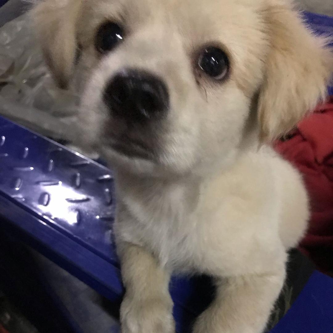 重生之我在仓库当小弟