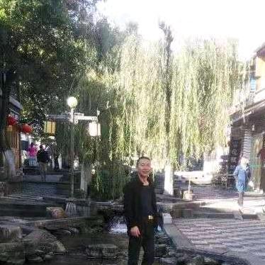 杨大哥