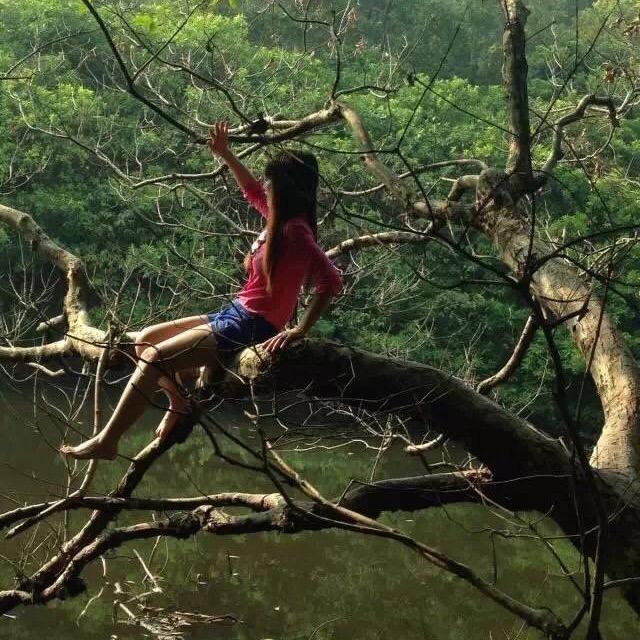 谷谷