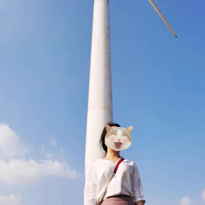 阳阳阳(禾伙人黑户版)
