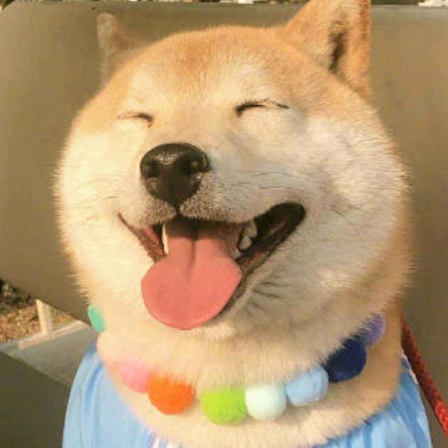 健身的BOY