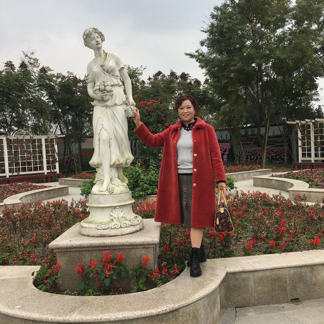 慧志兰心
