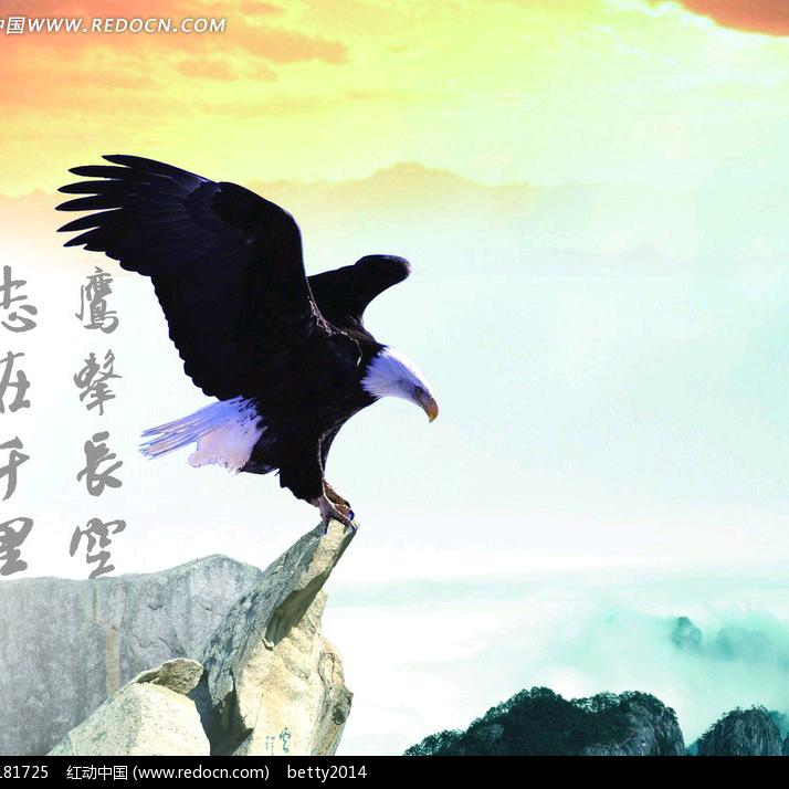 新型环保机械