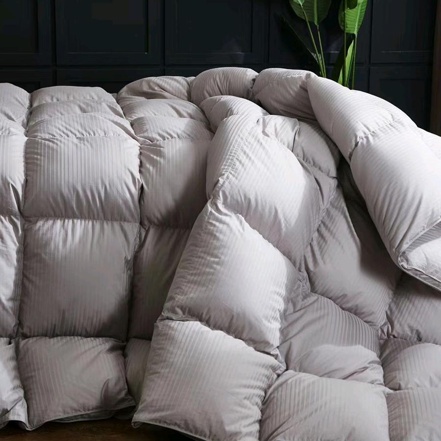 小涛（拔刀翎）