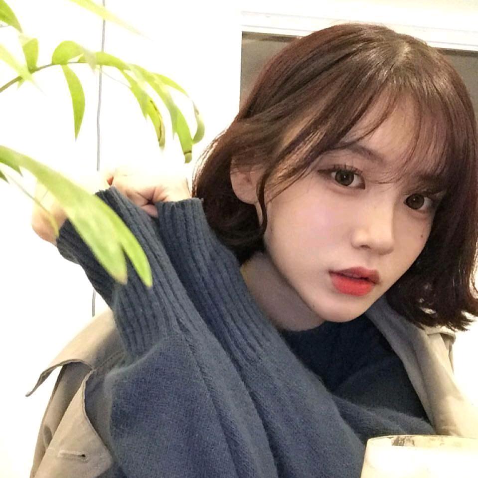 小肥杨🐑