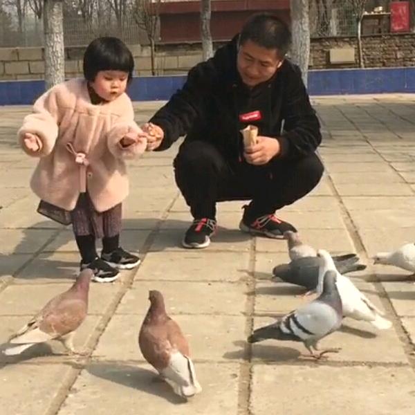 风生水起