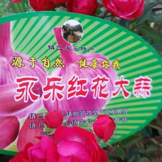 林中采购