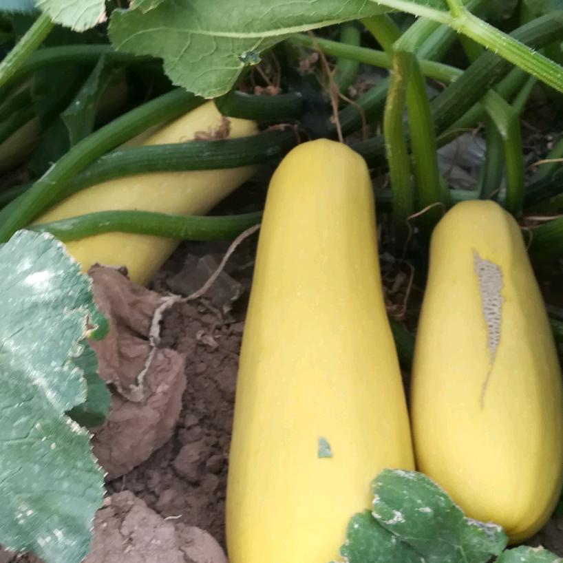 向前看，莫回头