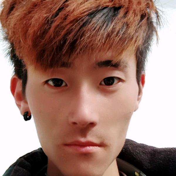 单身汪汪汪