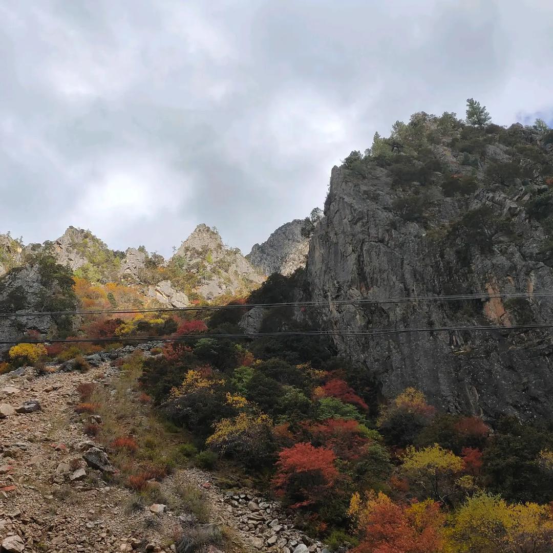 旧衣回收小高挑战年入百万