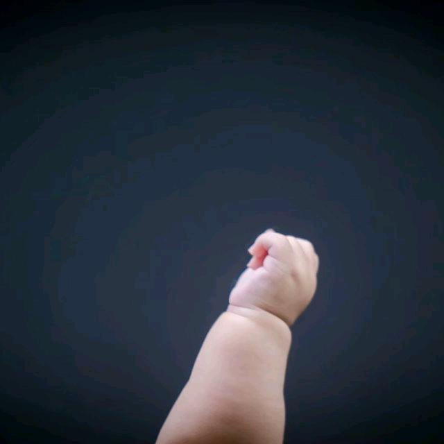 鼎盛人生，项先生