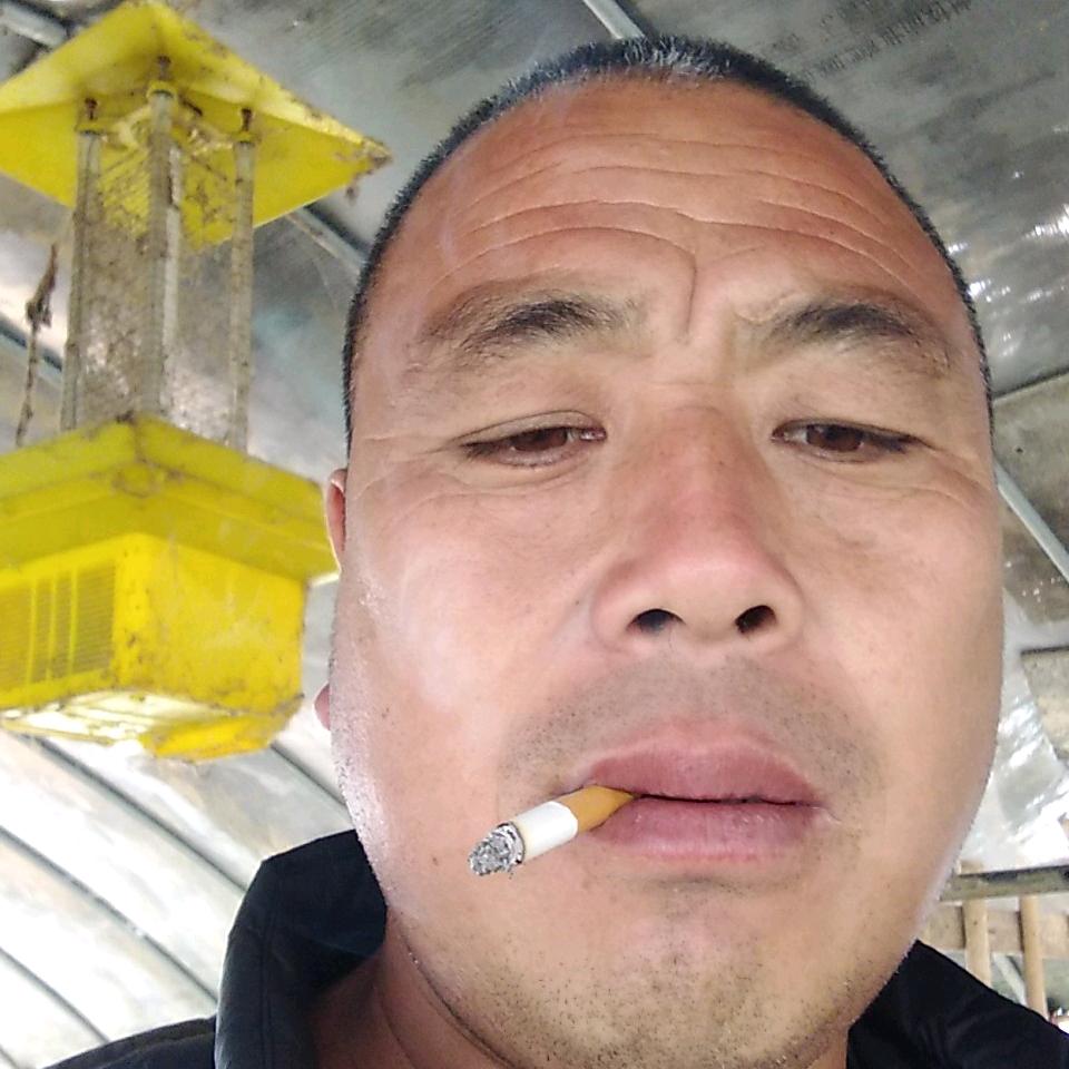 专挖黄杨树吴炳庆1298124127po
