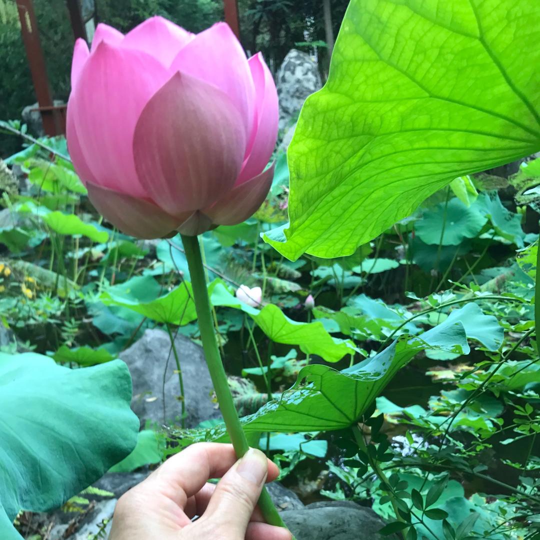 幸福快乐