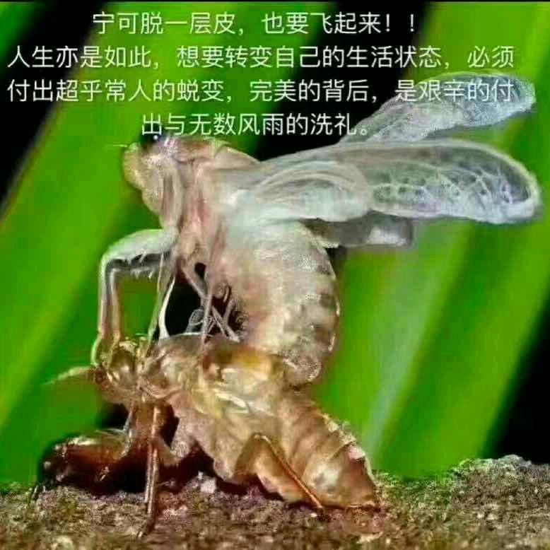 忘记过去，面向未来