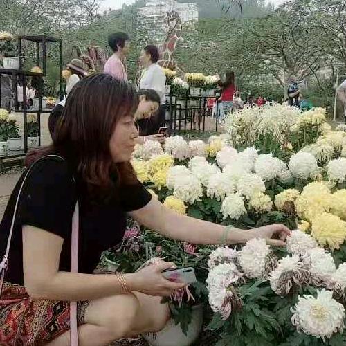 李姐