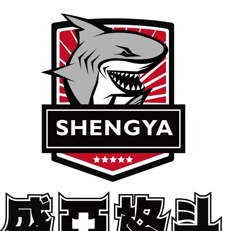 盛亚格斗