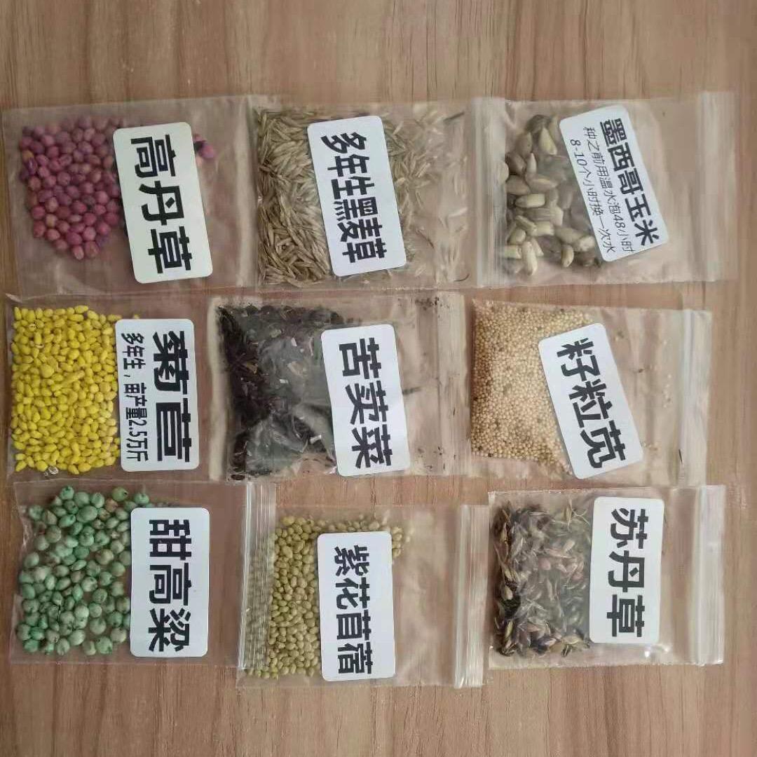 丰禾牧草种业