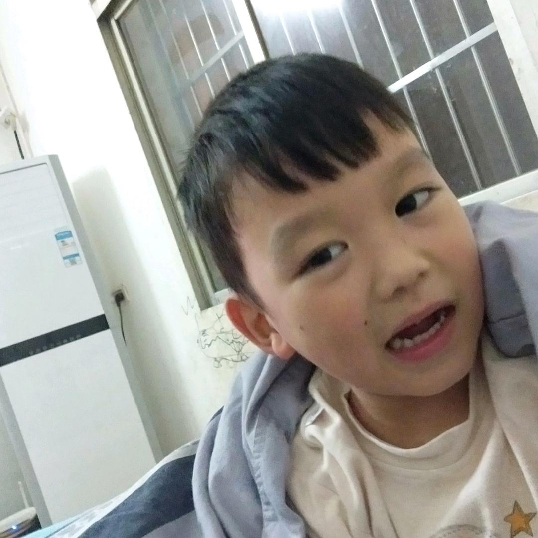 大小挖机带锤出租