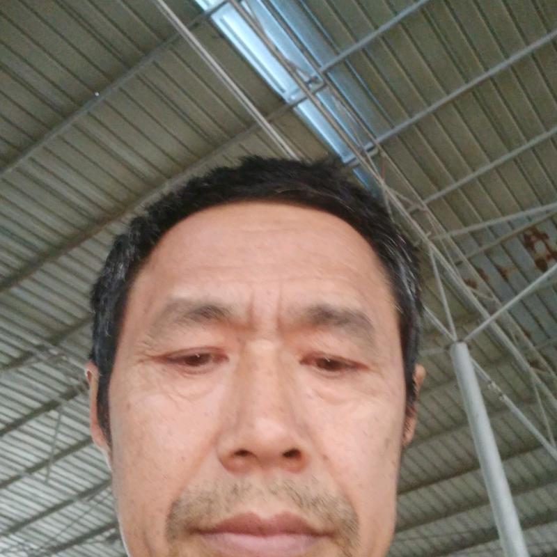 中药世家妙手回春王世才