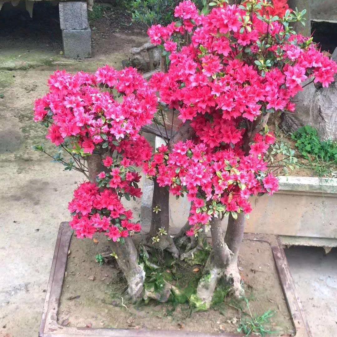 生活每一天
