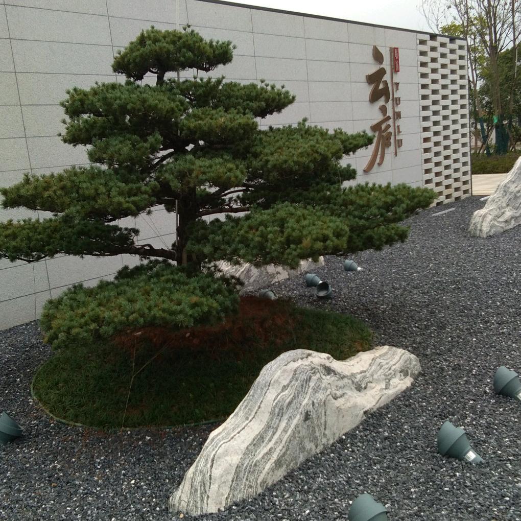 谎言见人心❤️