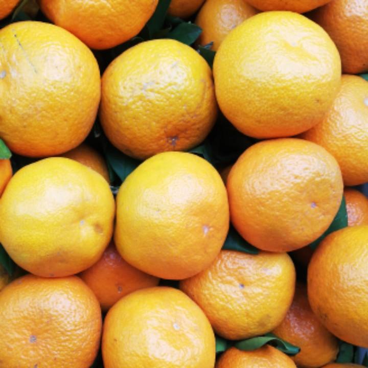 云阳果蔬代买代销——小范