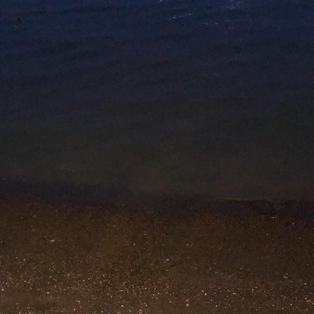 爱贪吃的小财迷
