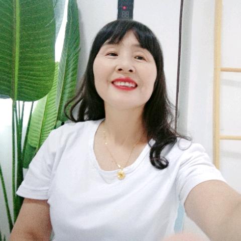 十五年候鸟