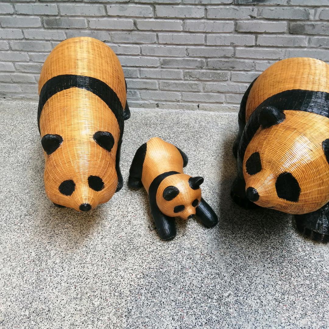 天使之梦"