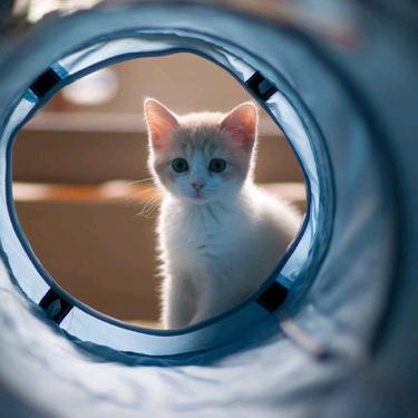 秀屿万达二楼胖太太，尾妹