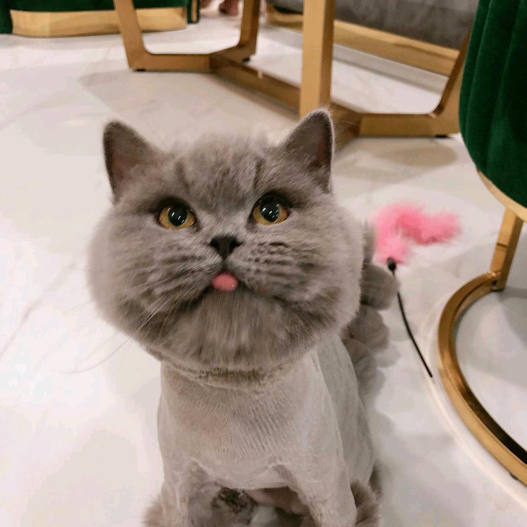 哦