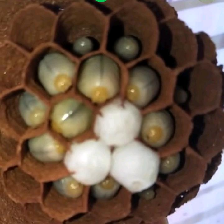 じ凉了的时光ヅ