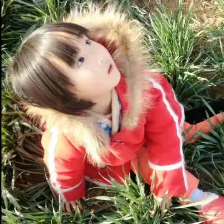 丽
